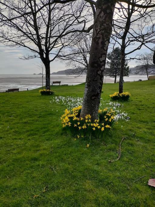 Fishermen'S Cottage With Log Burner, 2 Bathrooms & Sea Views From Garden Terraces The Mumbles Esterno foto